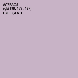 #C7B3C5 - Pale Slate Color Image